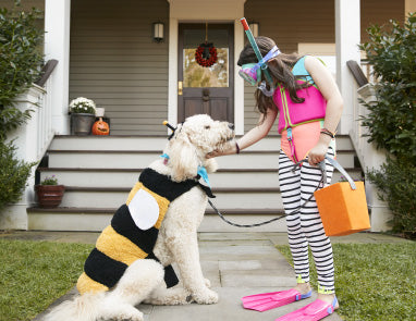 5 Fun Halloween Dog Activities